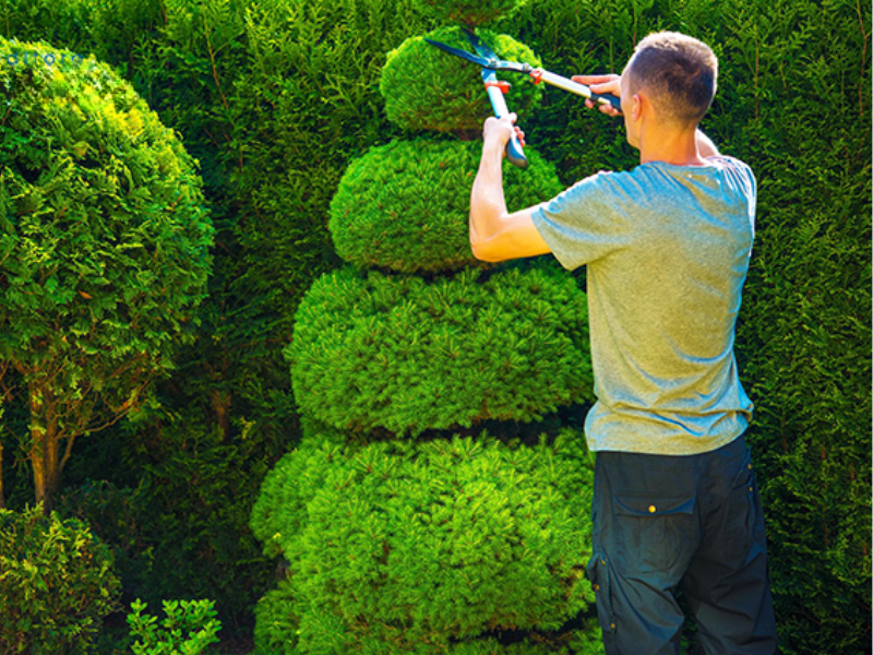 Projeto de Paisagismo para Áreas Externas
